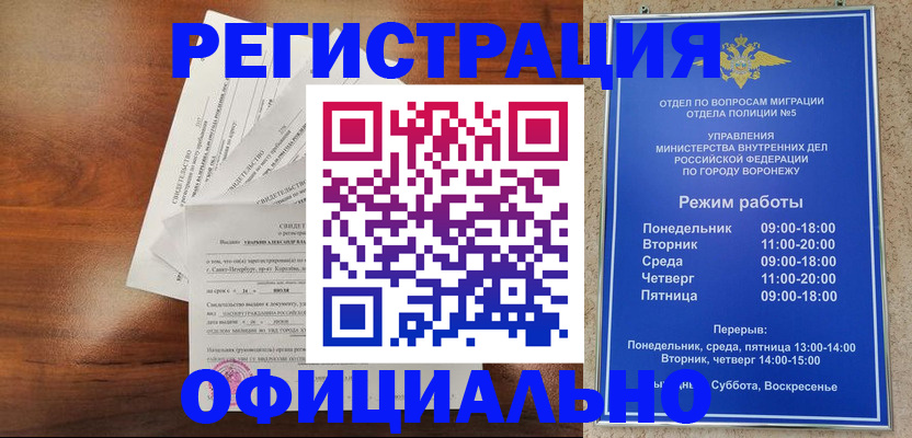 прописка поиск в Сельцо